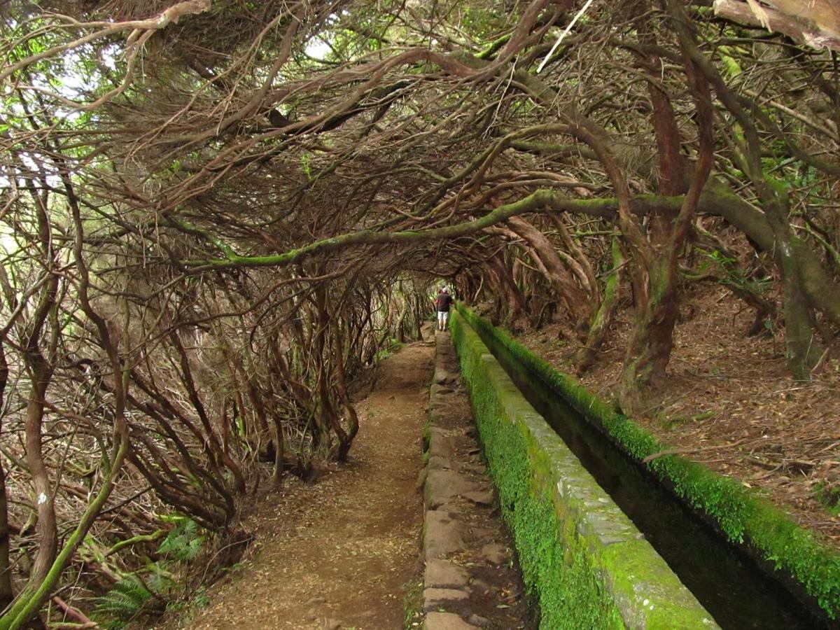 شقة Beautiful View 1 - Arco Da Calheta - Ilha Da Madeira المظهر الخارجي الصورة